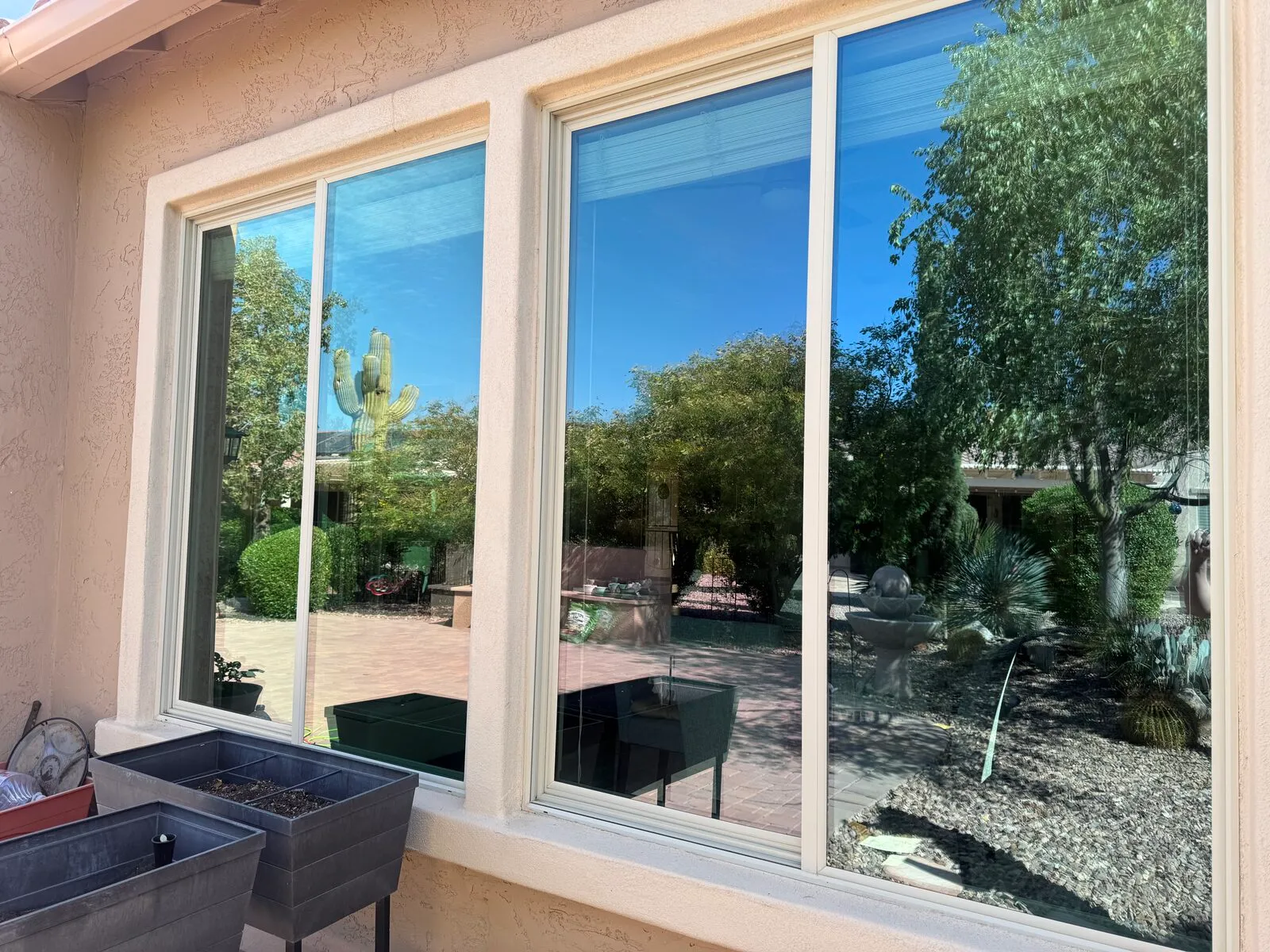 Clean garden-facing windows reflecting a courtyard